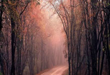 [图]菲利克斯双响 切尔西8-0诺亚创欧协联最大分差.