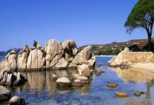 江南体育：本地球迷远赴越南 “一枝独秀”为雄狮队打气.